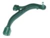 BIRTH BR1779 Track Control Arm